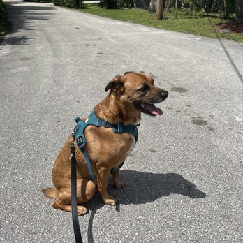 Fetch! Pet Care of Fort Lauderdale