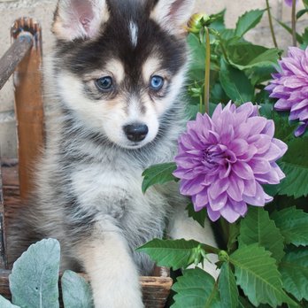 Fetch! Pet Care of Fort Lauderdale