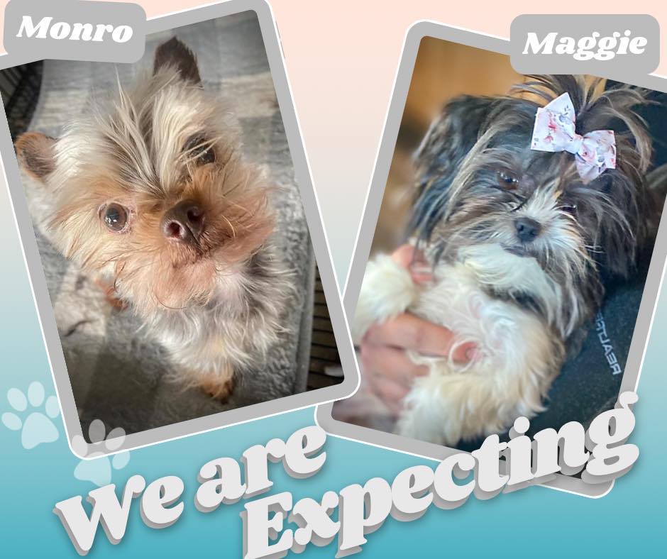 Heyburn, ID Map & Directions MapQuest